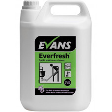 EVERFRESH Tualetes un vannas istabas tīrītājs, 5L